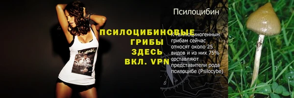 марки lsd Верхний Тагил